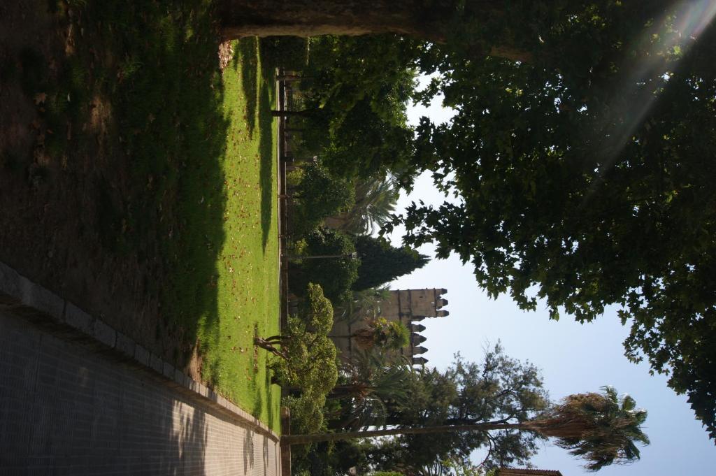 Hostal Alcazar Кордова Экстерьер фото